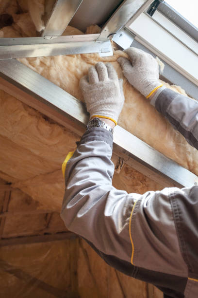 Best Cellulose Insulation in Algoma, WI