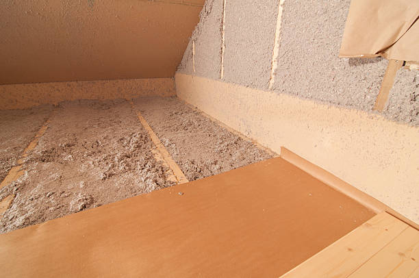 Best Eco-Friendly Insulation in Algoma, WI